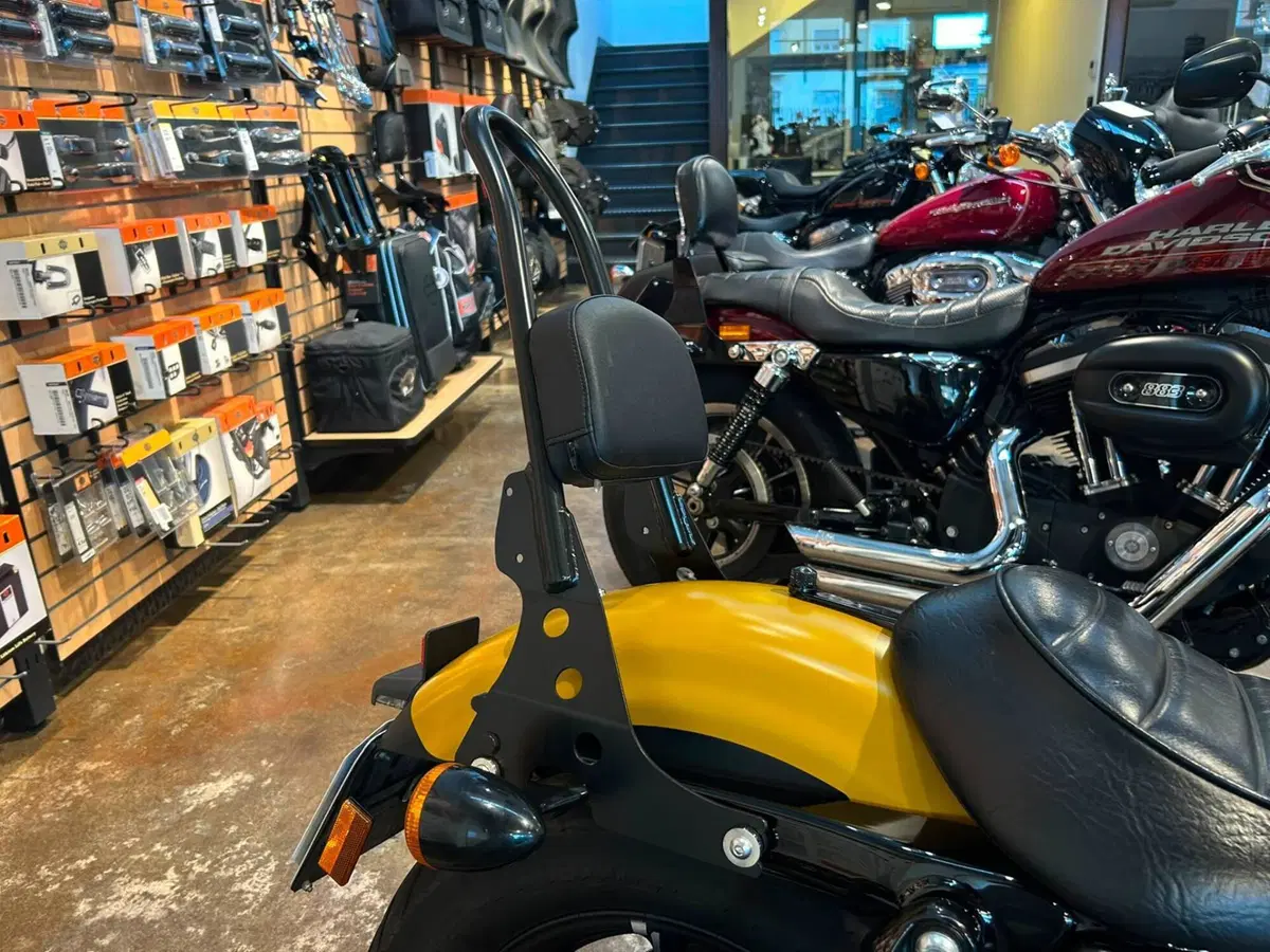 Harley-Davidson 883 Iron (2017 - 20) - XL 883N (11)