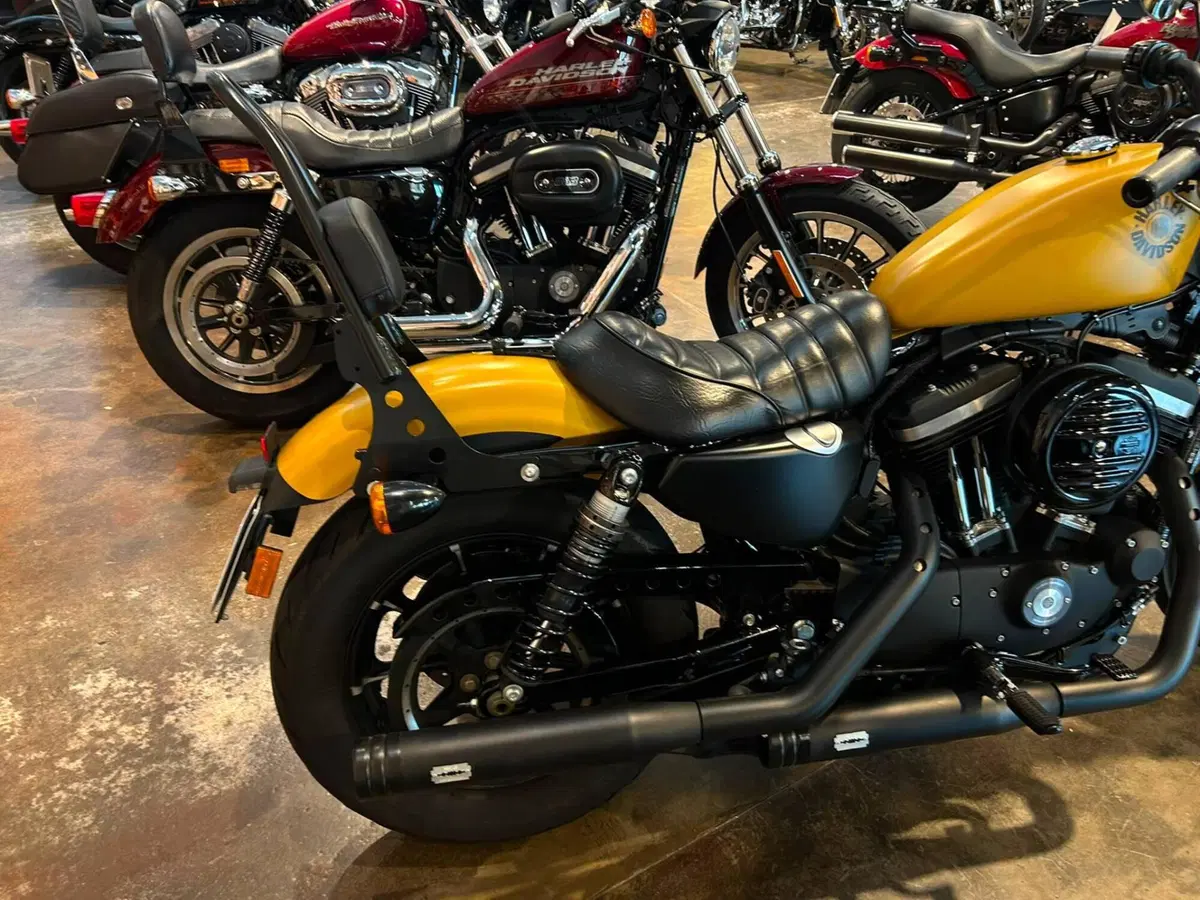 Harley-Davidson 883 Iron (2017 - 20) - XL 883N (12)