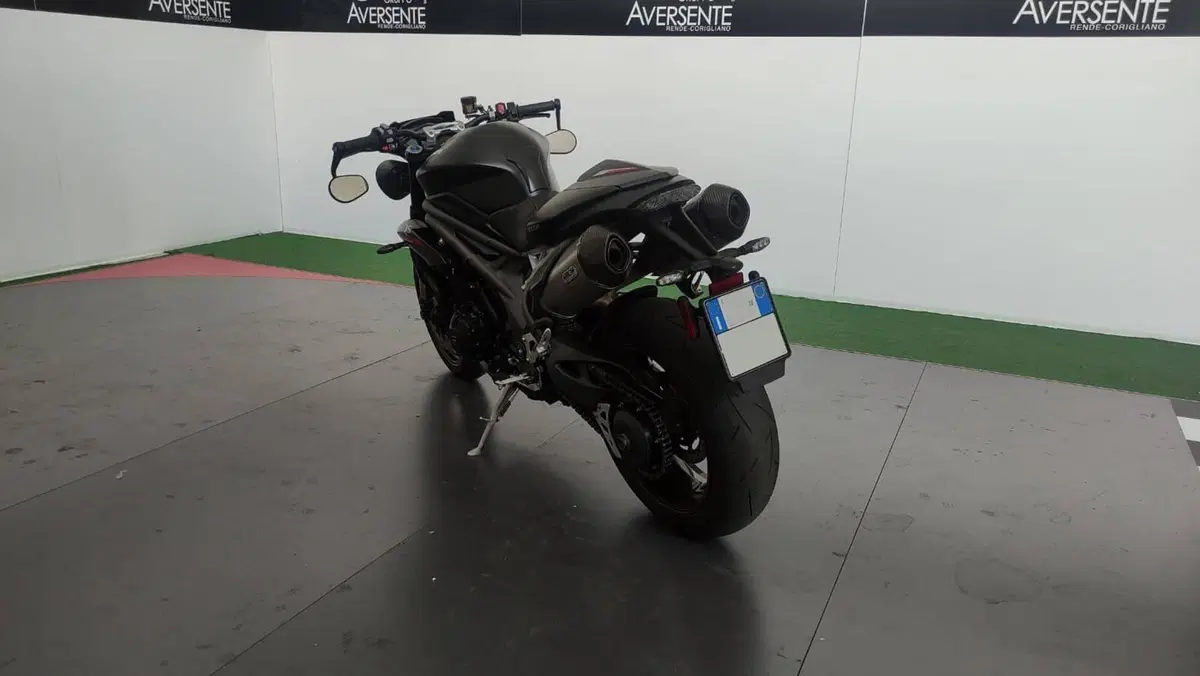 Triumph Speed Triple 1050 RS (2018 - 20) (16)
