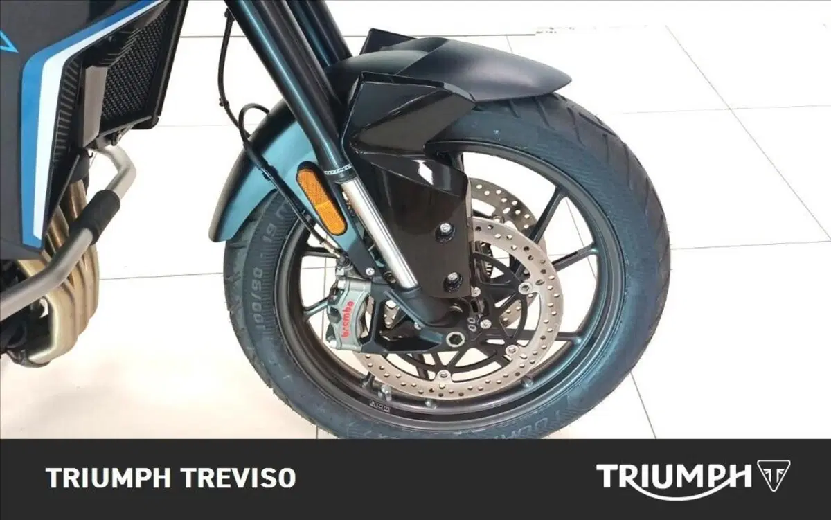 Triumph Tiger 900 Alpine Special Edition (2026) (5)