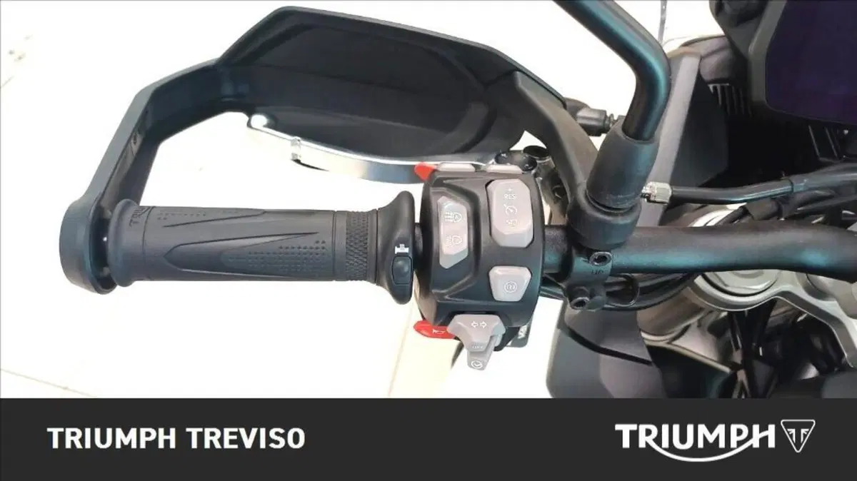 Triumph Tiger 900 Alpine Special Edition (2026) (4)