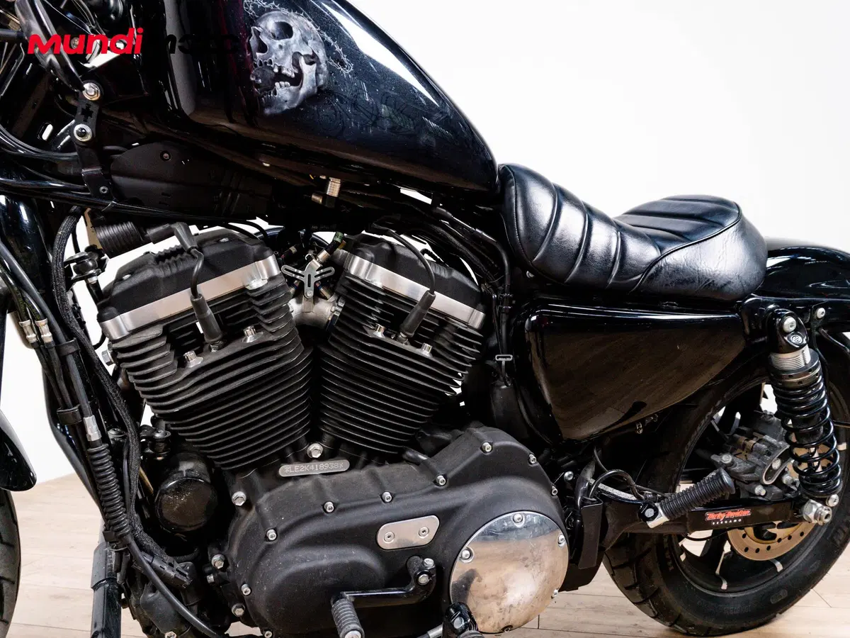 Harley-Davidson 883 Iron (2009 - 11) - XL 883N (9)