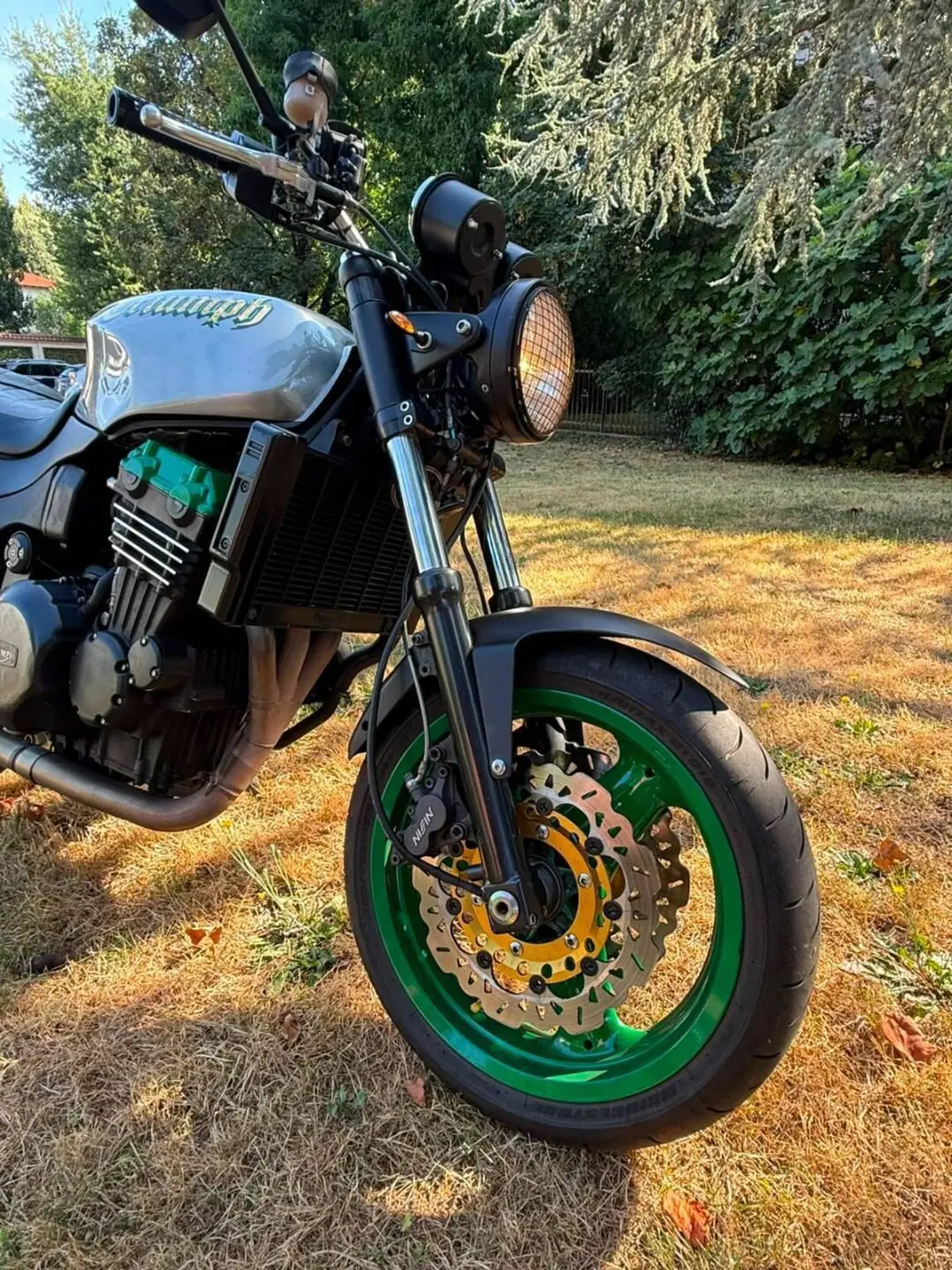 Triumph Speed Triple 900 (1993 - 02) (3)