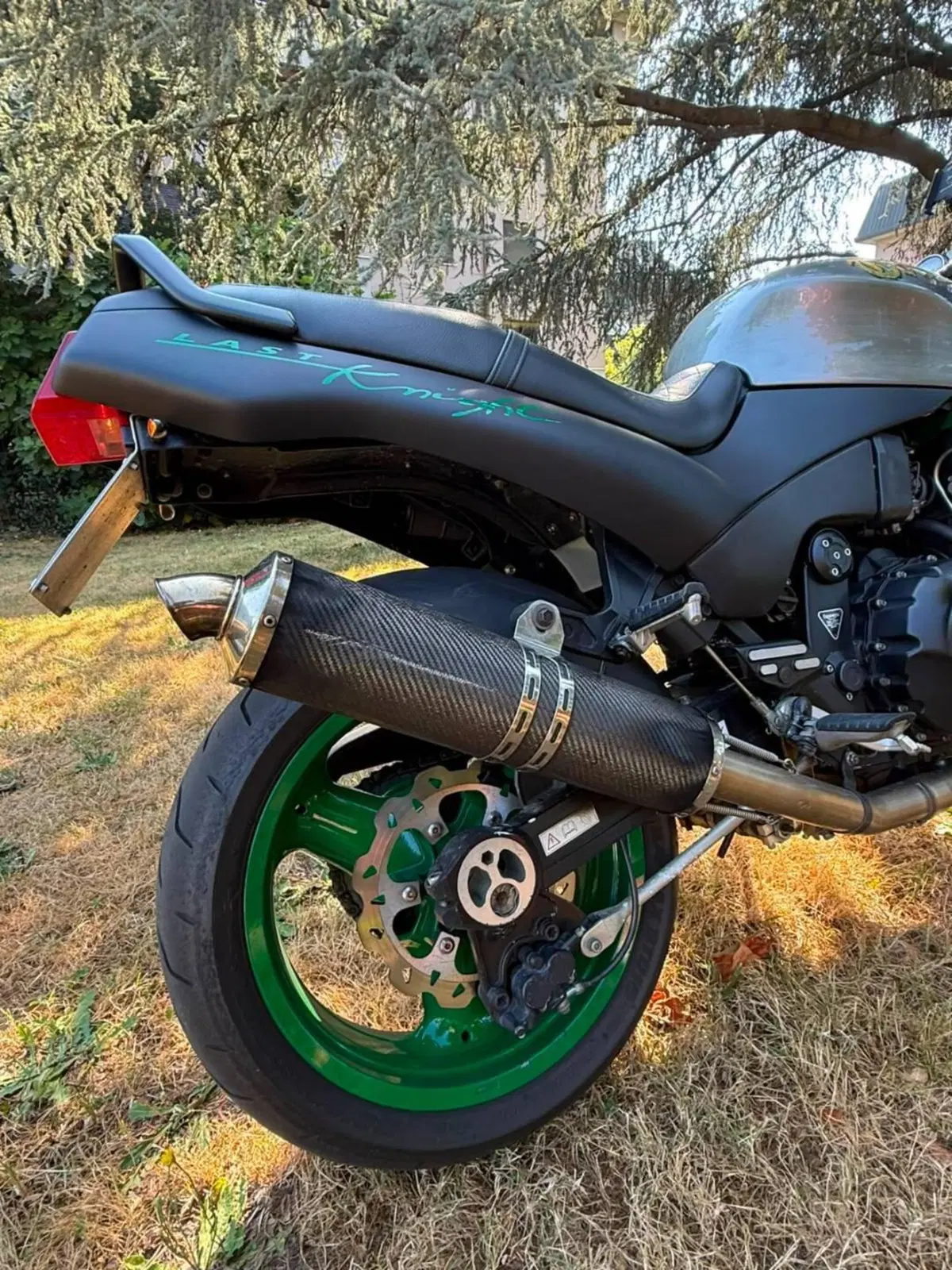 Triumph Speed Triple 900 (1993 - 02) (4)