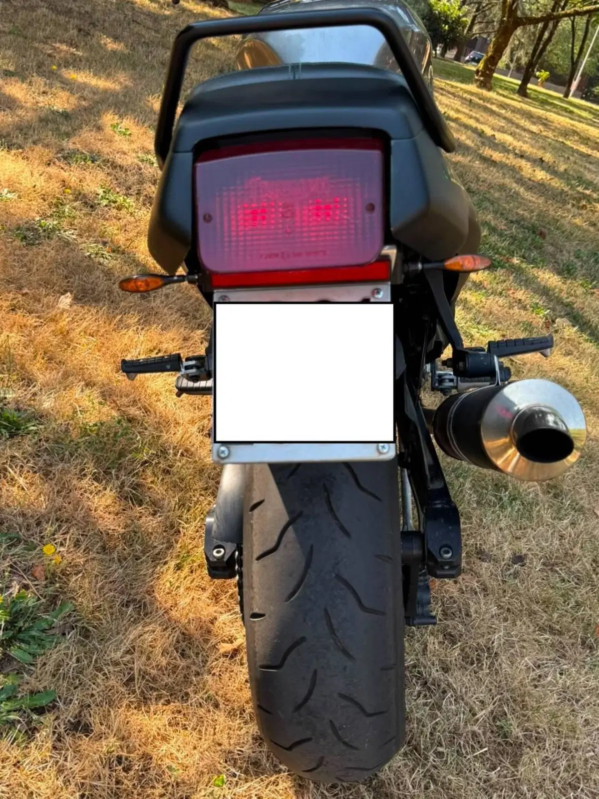 Triumph Speed Triple 900 (1993 - 02) (7)