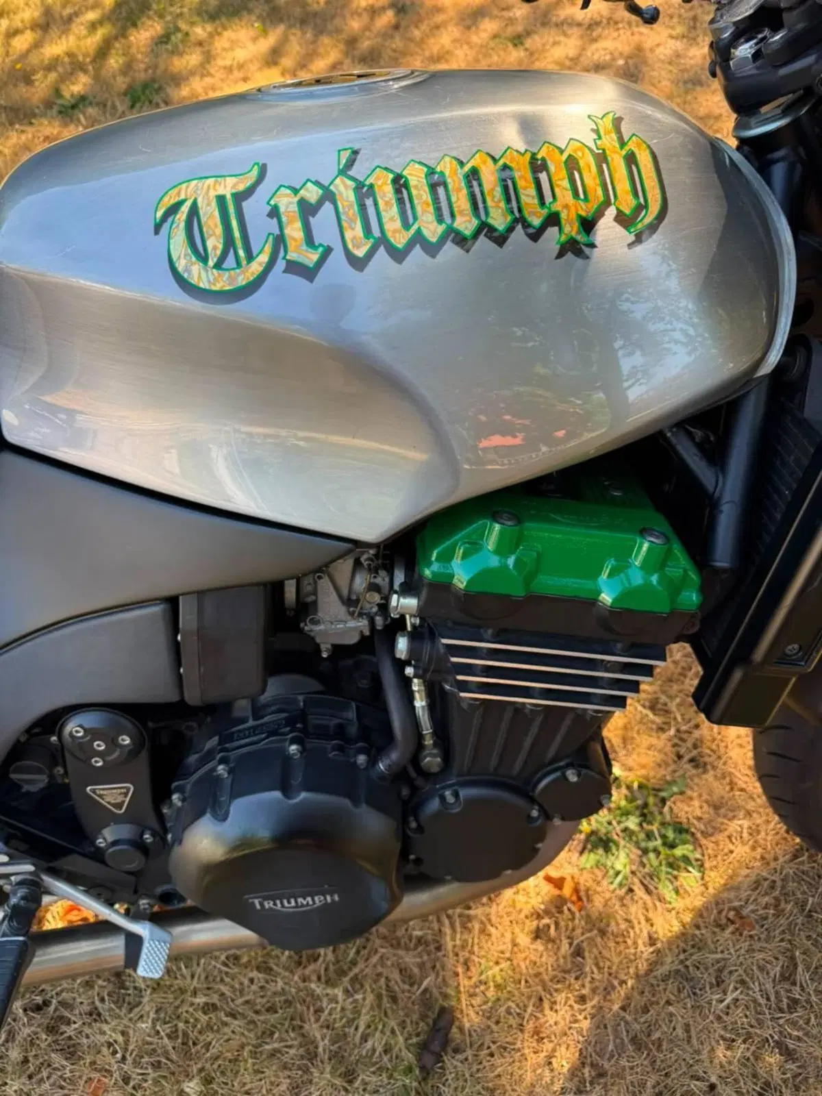 Triumph Speed Triple 900 (1993 - 02) (8)