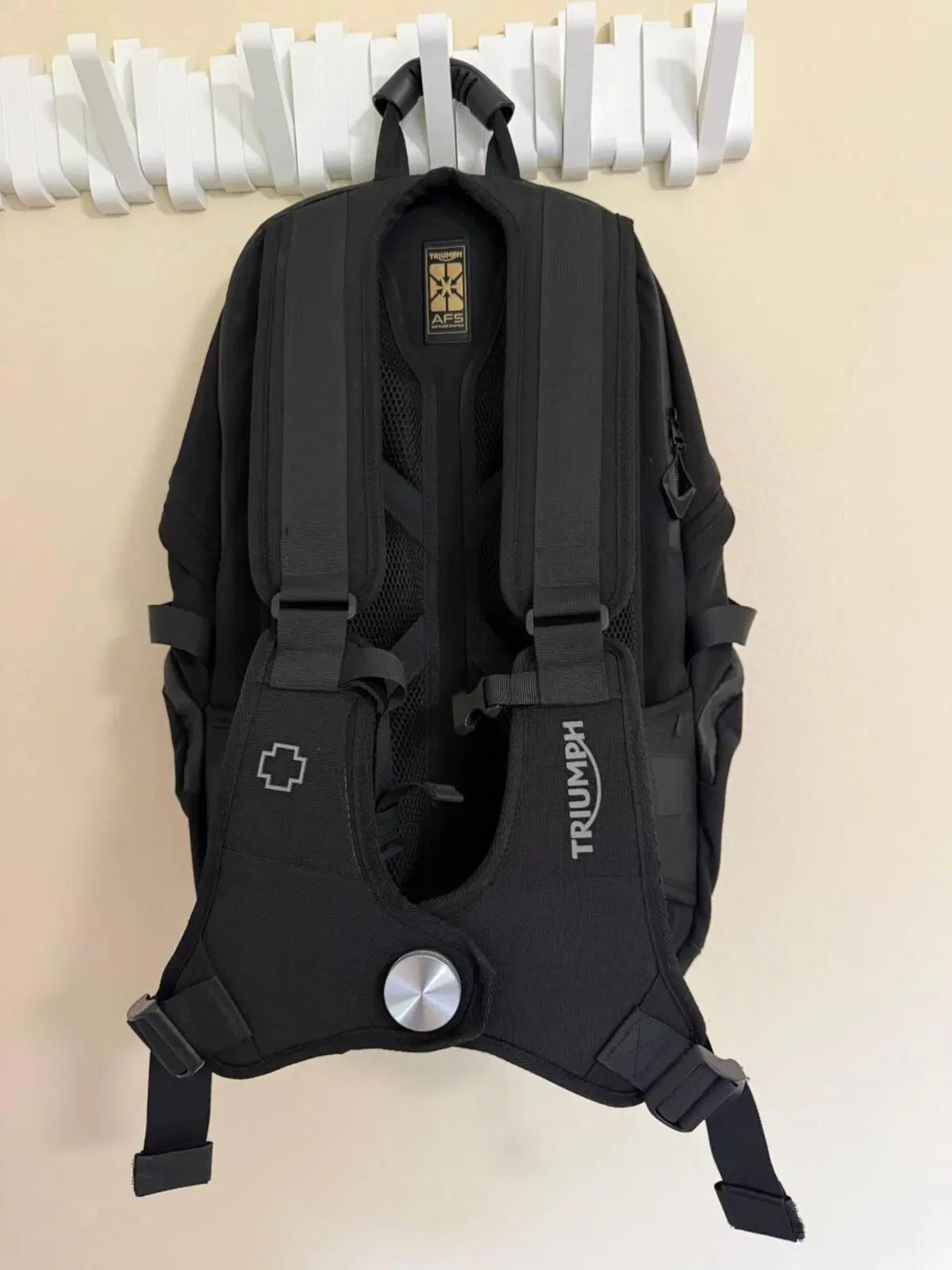 Triumph Speed Triple 900 (1993 - 02) (10)