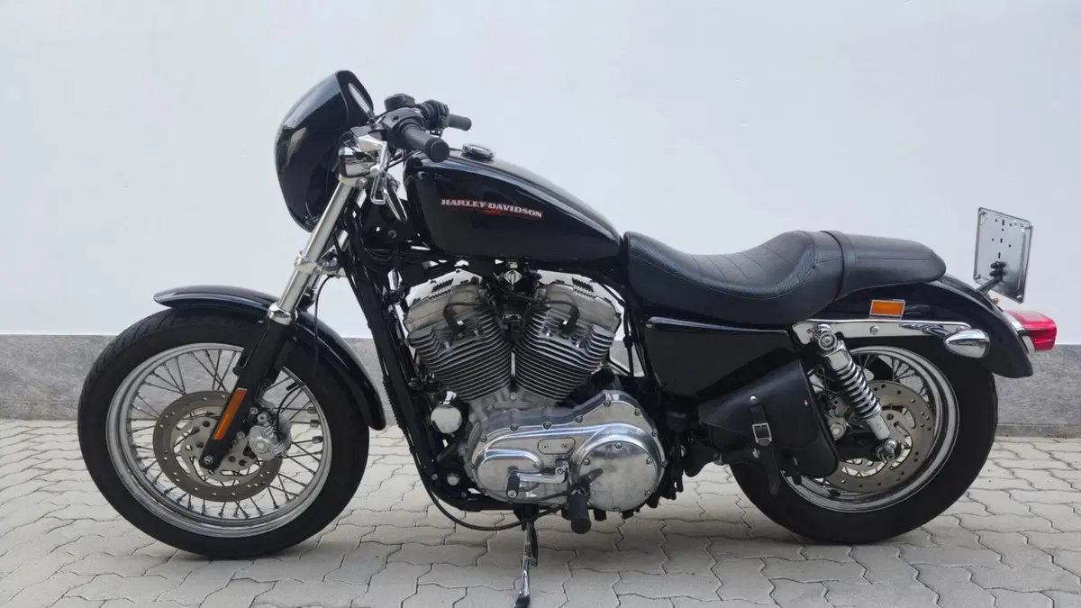 Harley-Davidson 883 Custom (2001 - 05) - XL 53C (6)