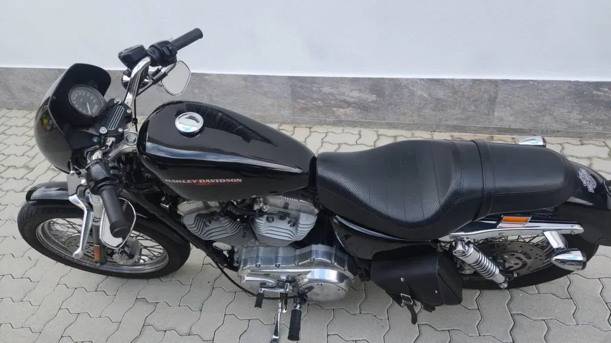 Harley-Davidson 883 Custom (2001 - 05) - XL 53C (7)
