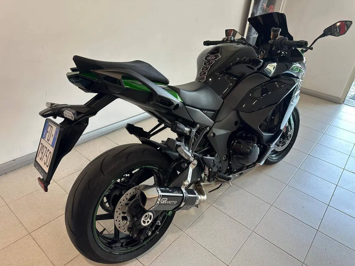 Kawasaki Ninja 1000 SX (2021 - 24) (2)