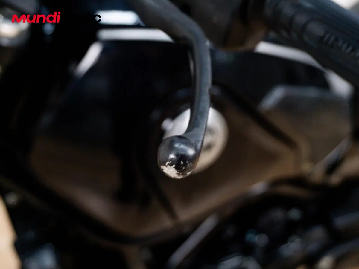 Benelli Leoncino 500 Trail (2021 - 26) (15)