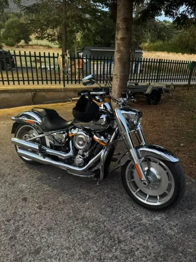 Harley-Davidson Fat Boy Gray Ghost (2025) usata