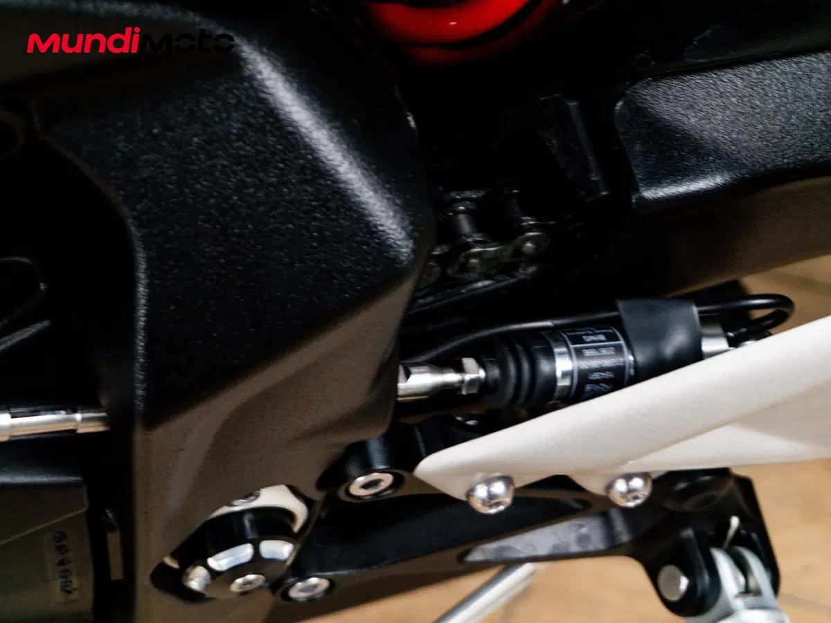 Triumph Street Triple 765 R (2023 - 26) (15)