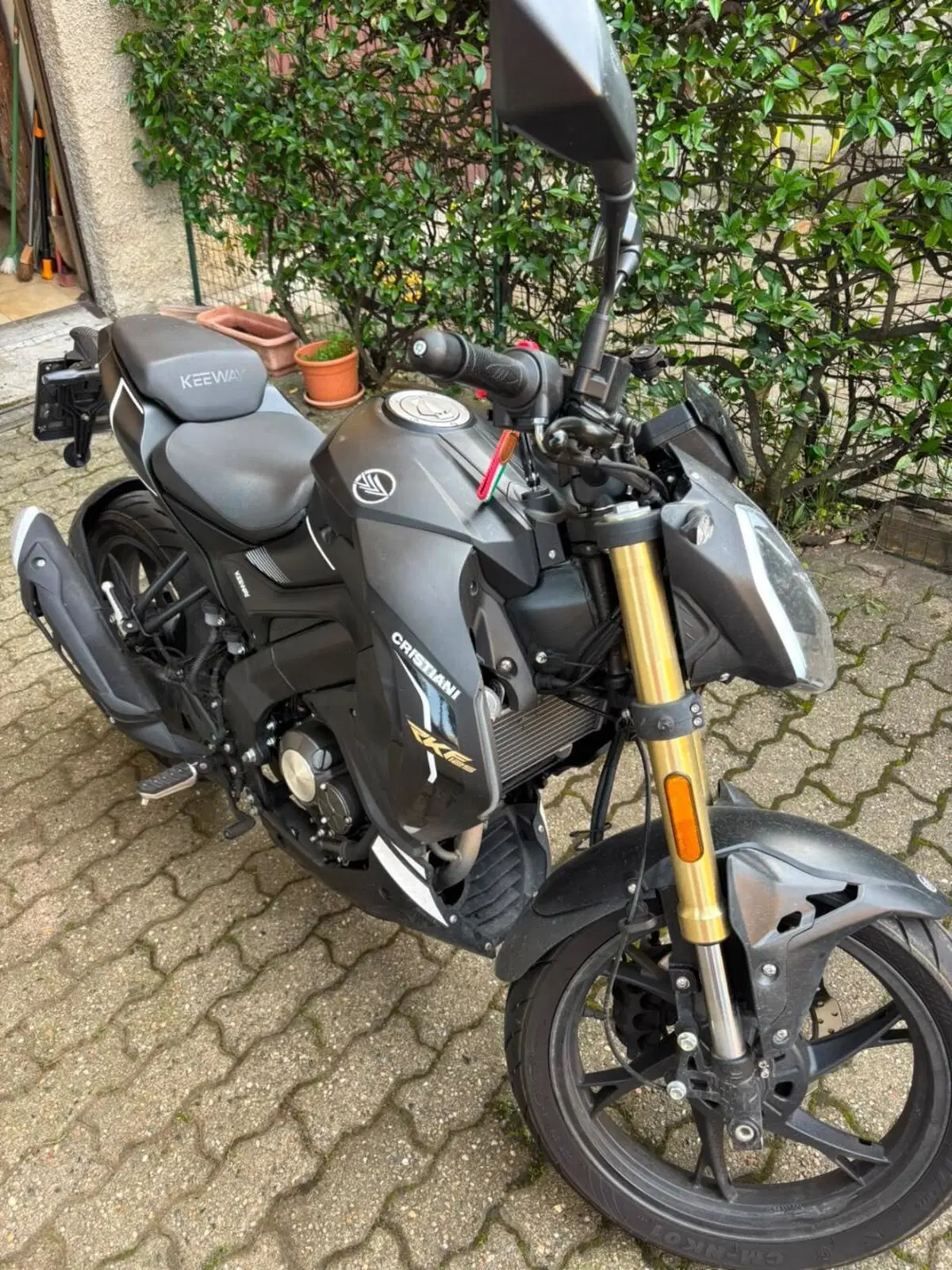 Keeway Motor RKF 125 (2021 - 24) (6)