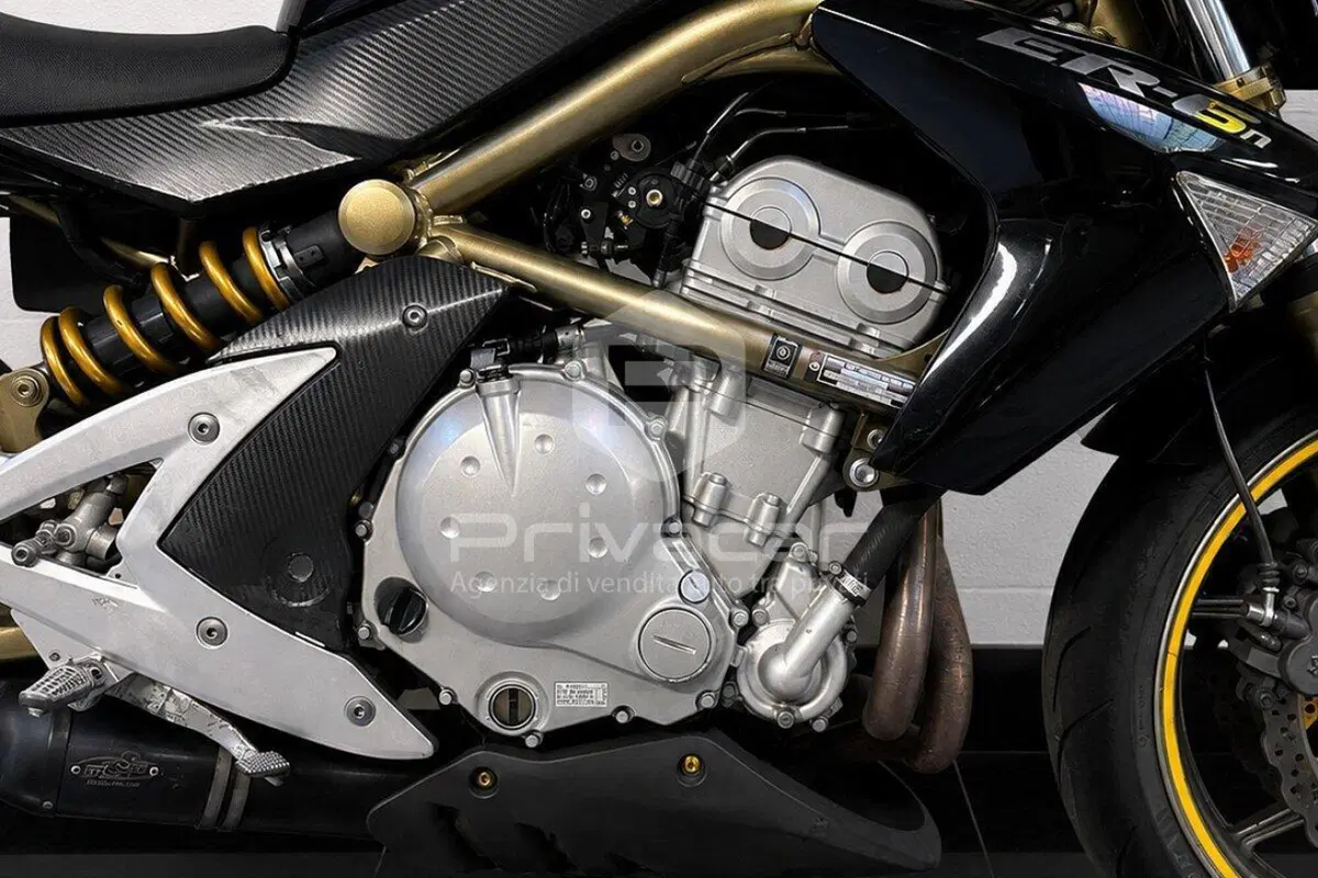 Kawasaki ER-6N (2005 - 08) (11)