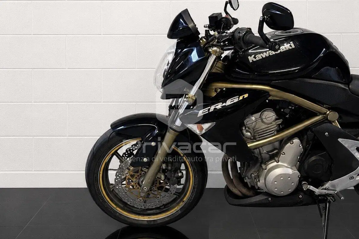 Kawasaki ER-6N (2005 - 08) (9)
