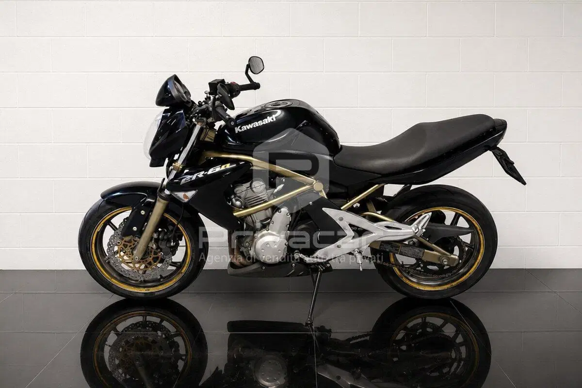 Kawasaki ER-6N (2005 - 08) (5)