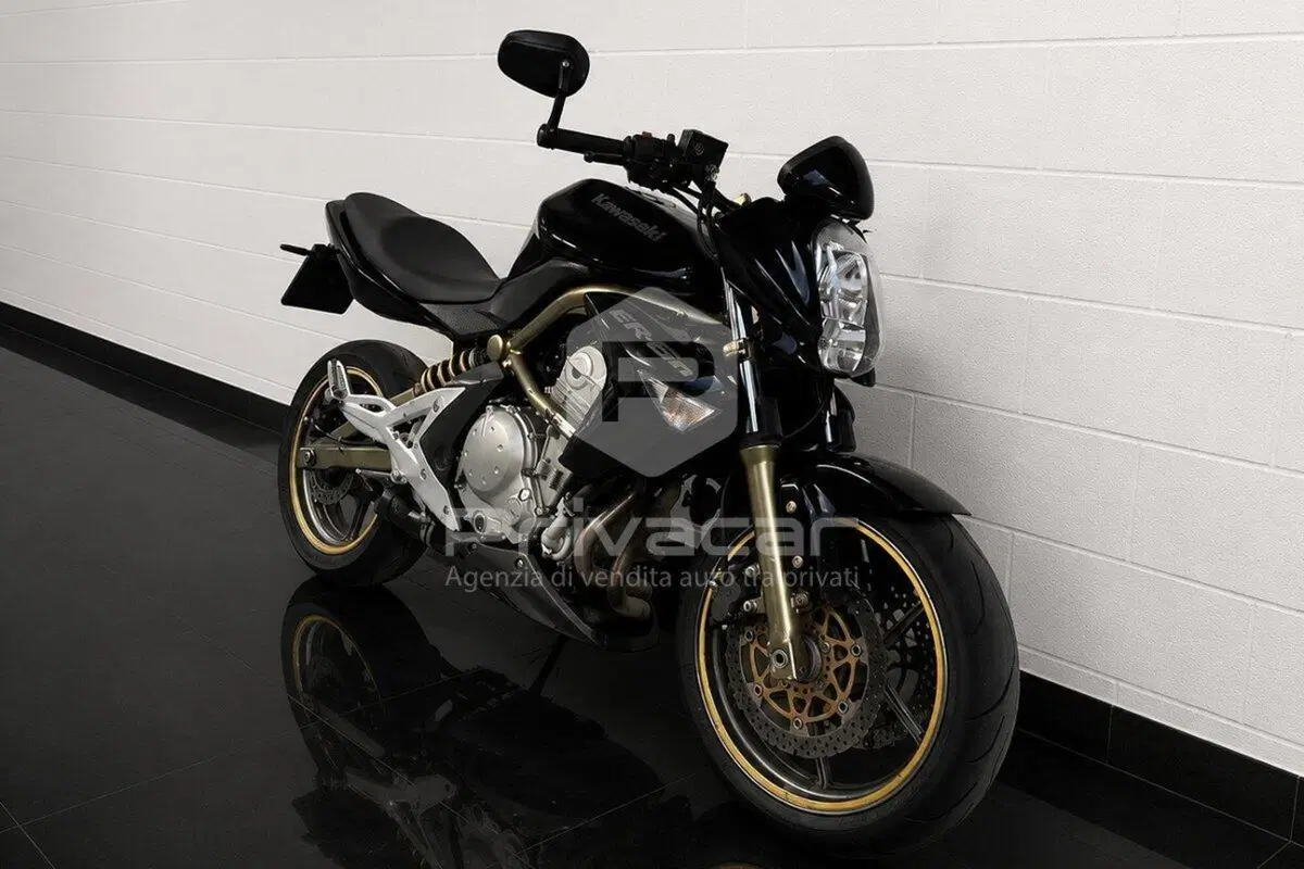 Kawasaki ER-6N (2005 - 08) (2)