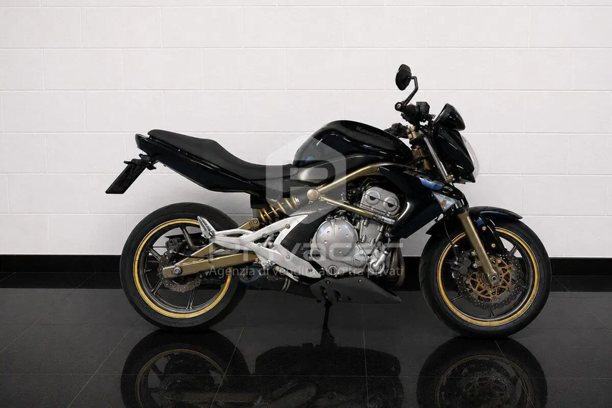Kawasaki ER-6N (2005 - 08) (6)