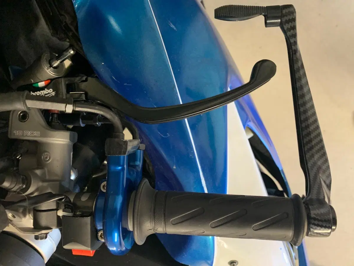 Suzuki GSX R 750 (2006 - 07) (3)