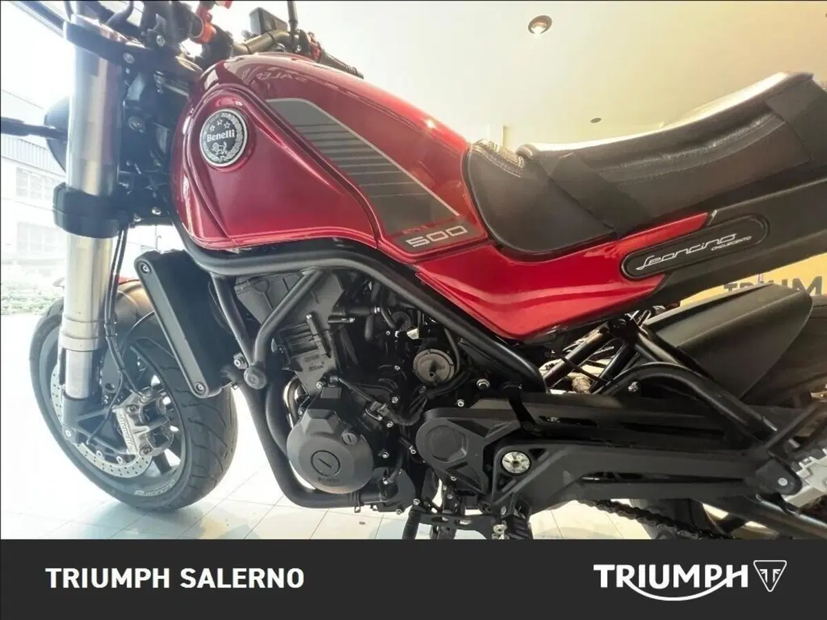Benelli Leoncino 500 (2021 - 25) (5)