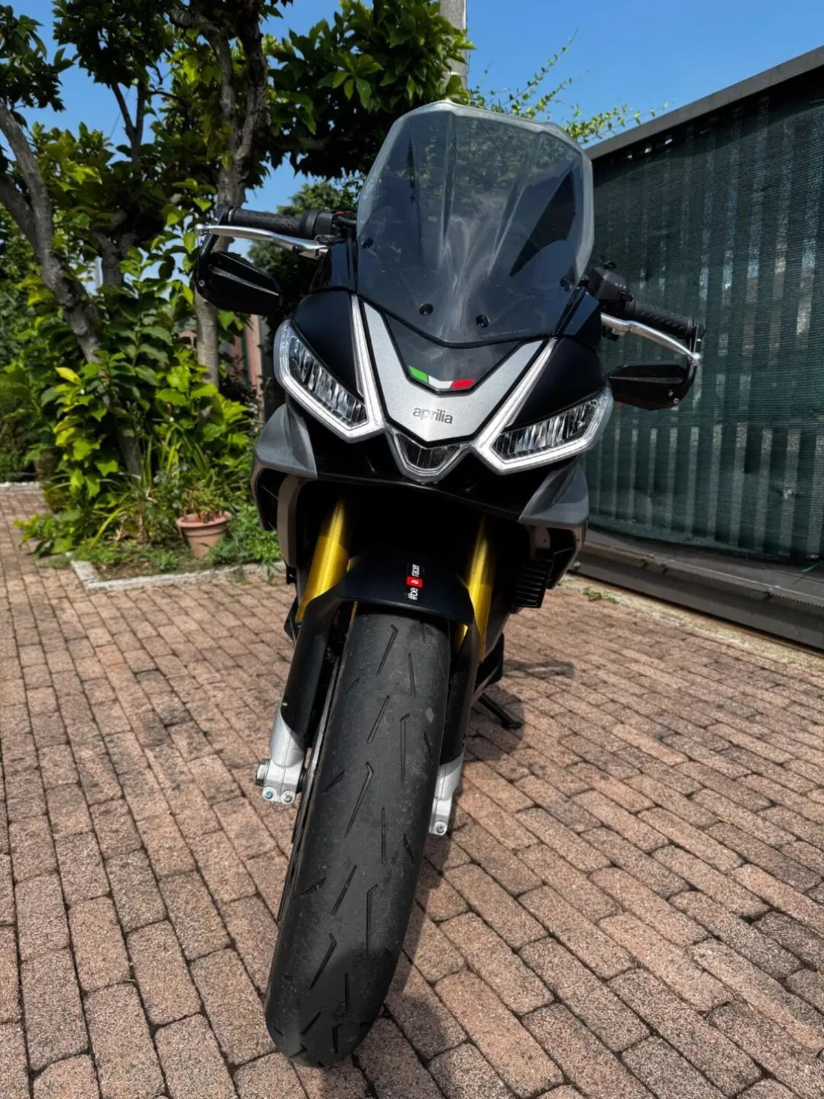 Aprilia Tuono V4 (2021 - 24) (6)