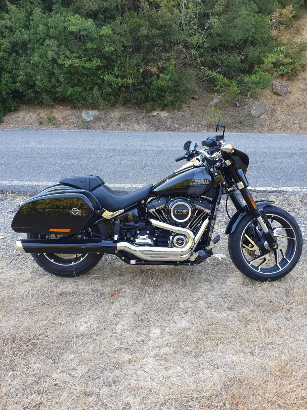 Harley-Davidson Sport Glide (2021 - 25)