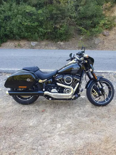 Harley-Davidson Sport Glide (2021 - 25) usata