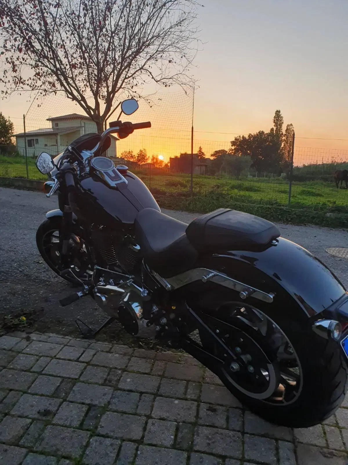 Harley-Davidson Sport Glide (2021 - 25) (3)