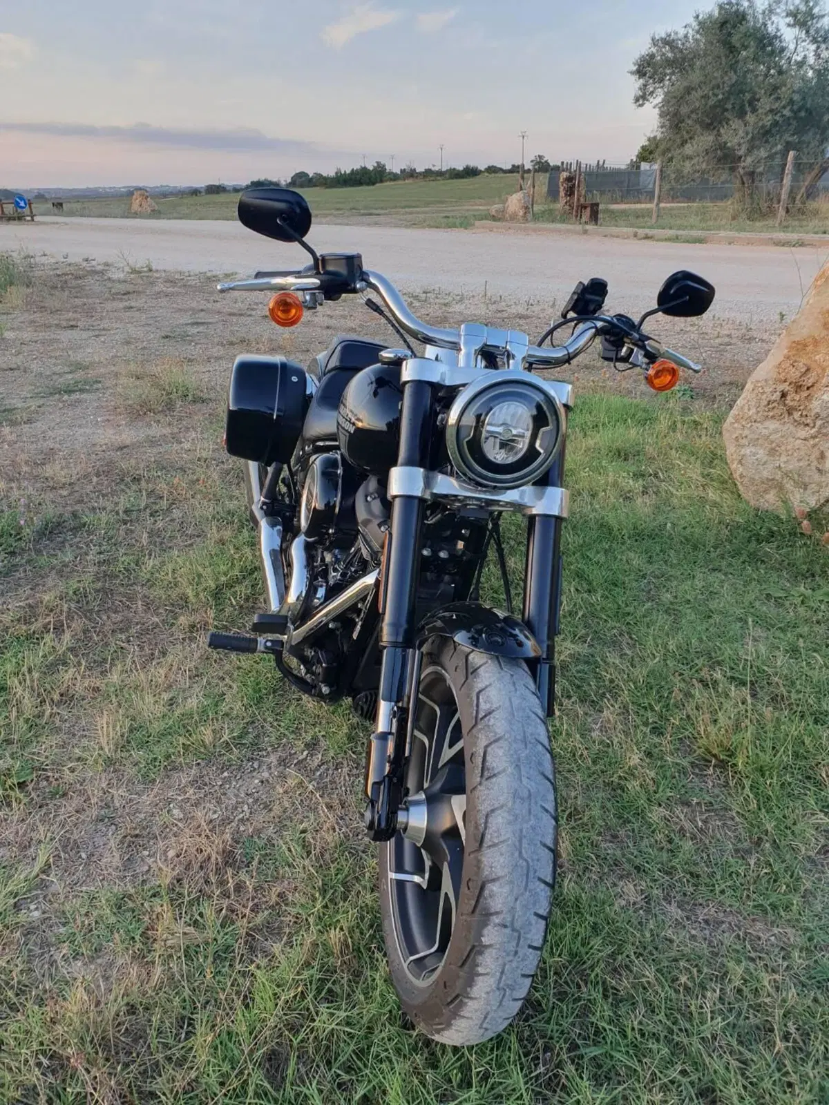 Harley-Davidson Sport Glide (2021 - 25) (9)