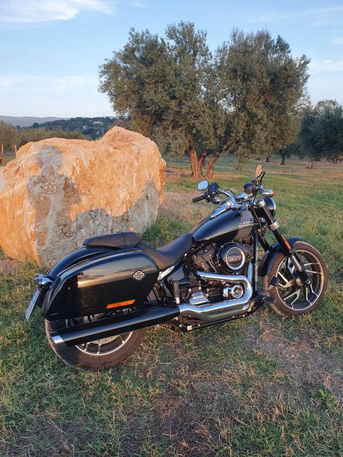 Harley-Davidson Sport Glide (2021 - 25) (10)