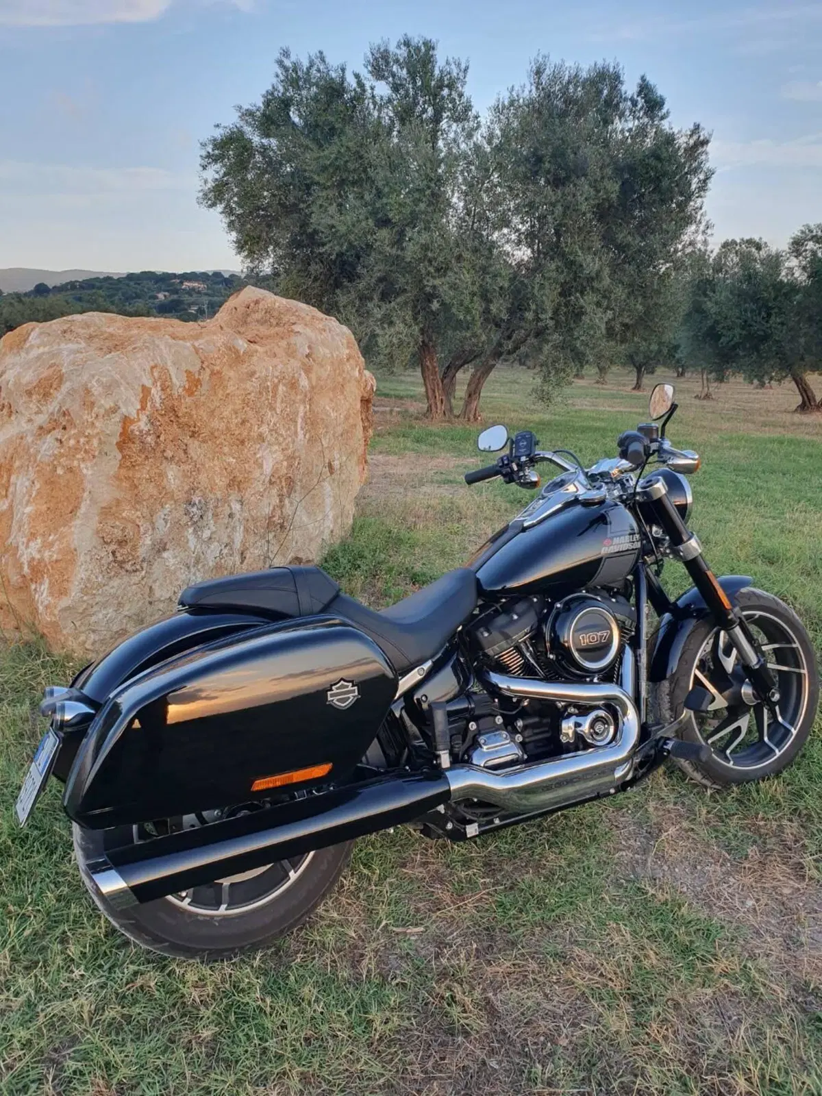 Harley-Davidson Sport Glide (2021 - 25) (12)