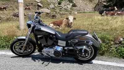Harley-Davidson 1690 Low Rider (2014 - 17) - FXDL usata