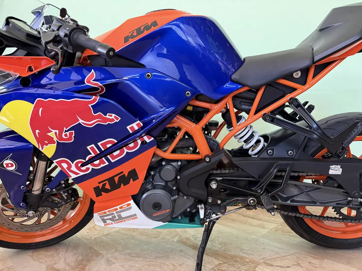 KTM RC 390 ABS (2015 - 16) (11)