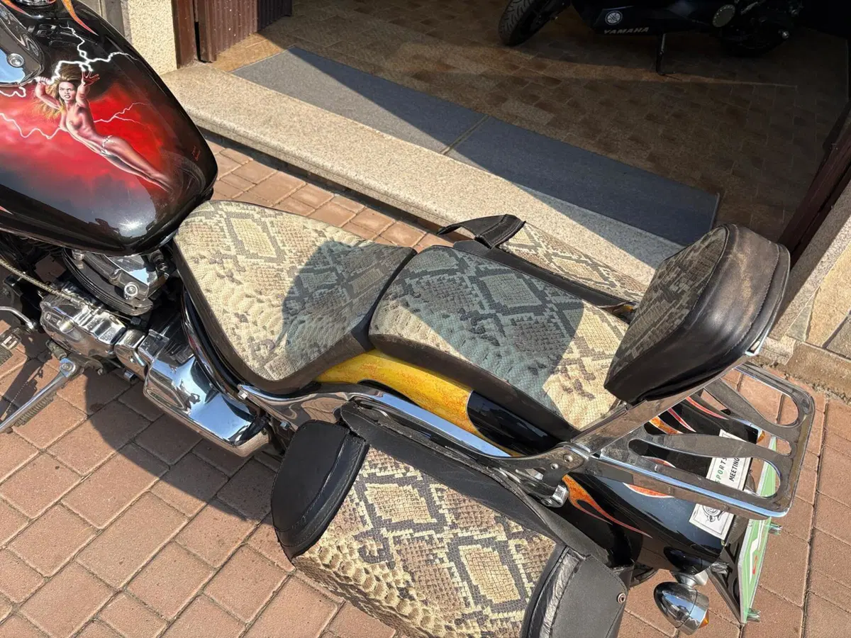 Yamaha XVS 650 Drag Star (1997 - 05) (10)