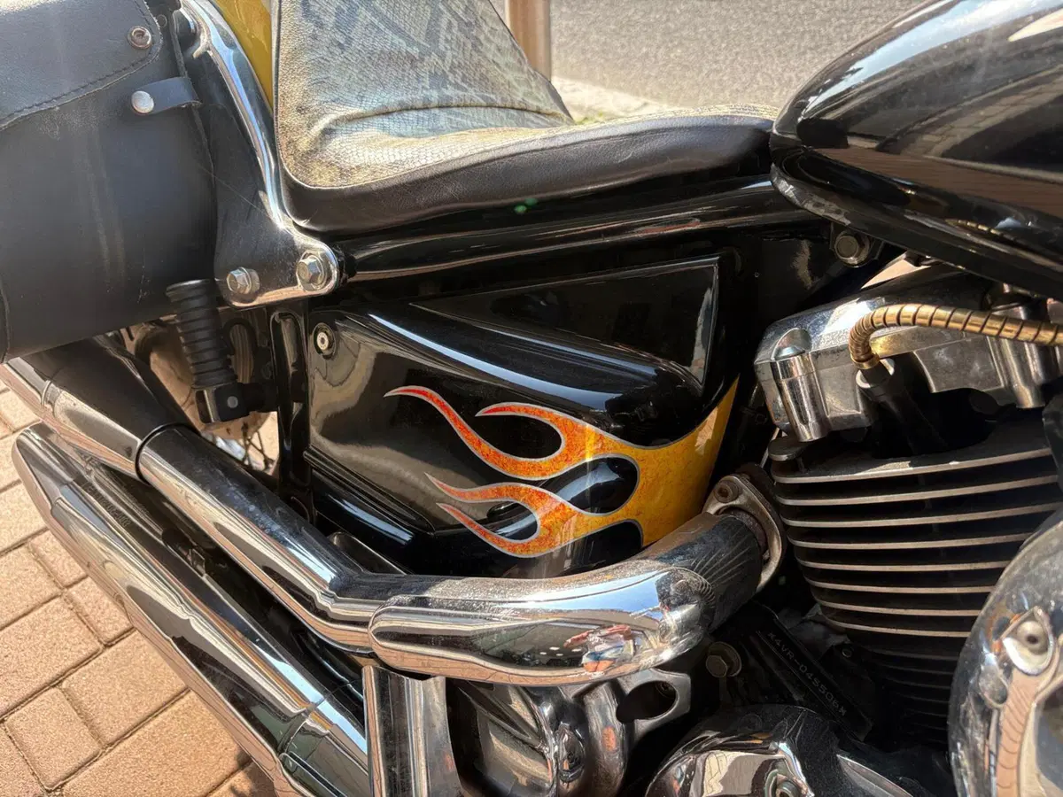 Yamaha XVS 650 Drag Star (1997 - 05) (14)