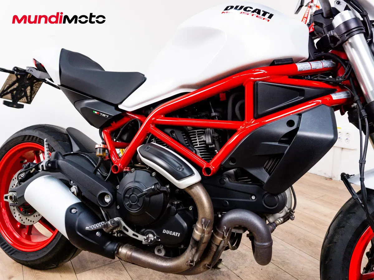 Ducati Monster 797 Plus (2019) (5)