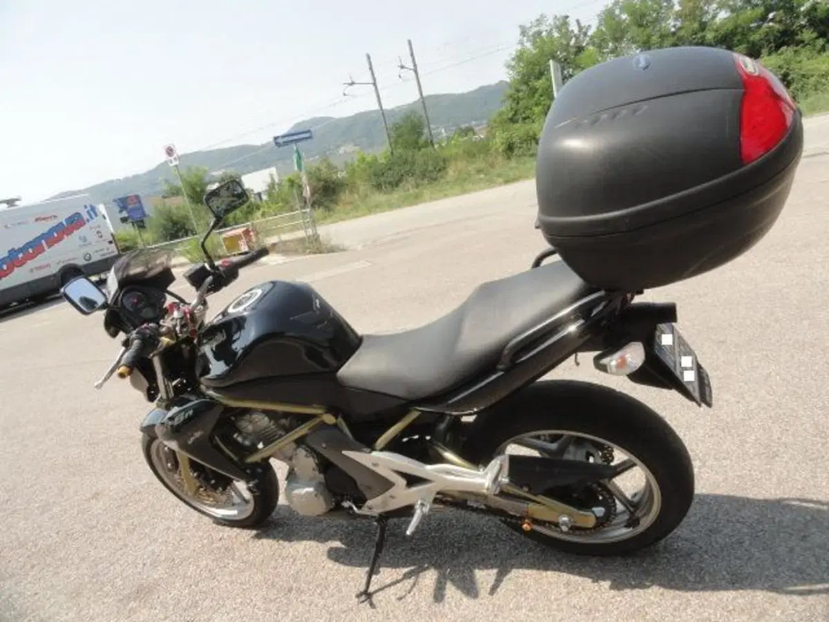 Kawasaki ER-6N (2006 - 09) (6)