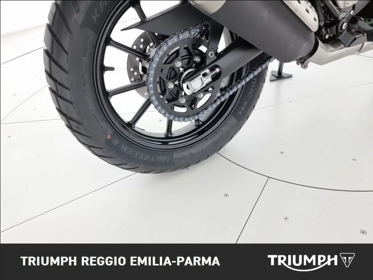 Triumph Scrambler 400 X (2024 - 26) (18)