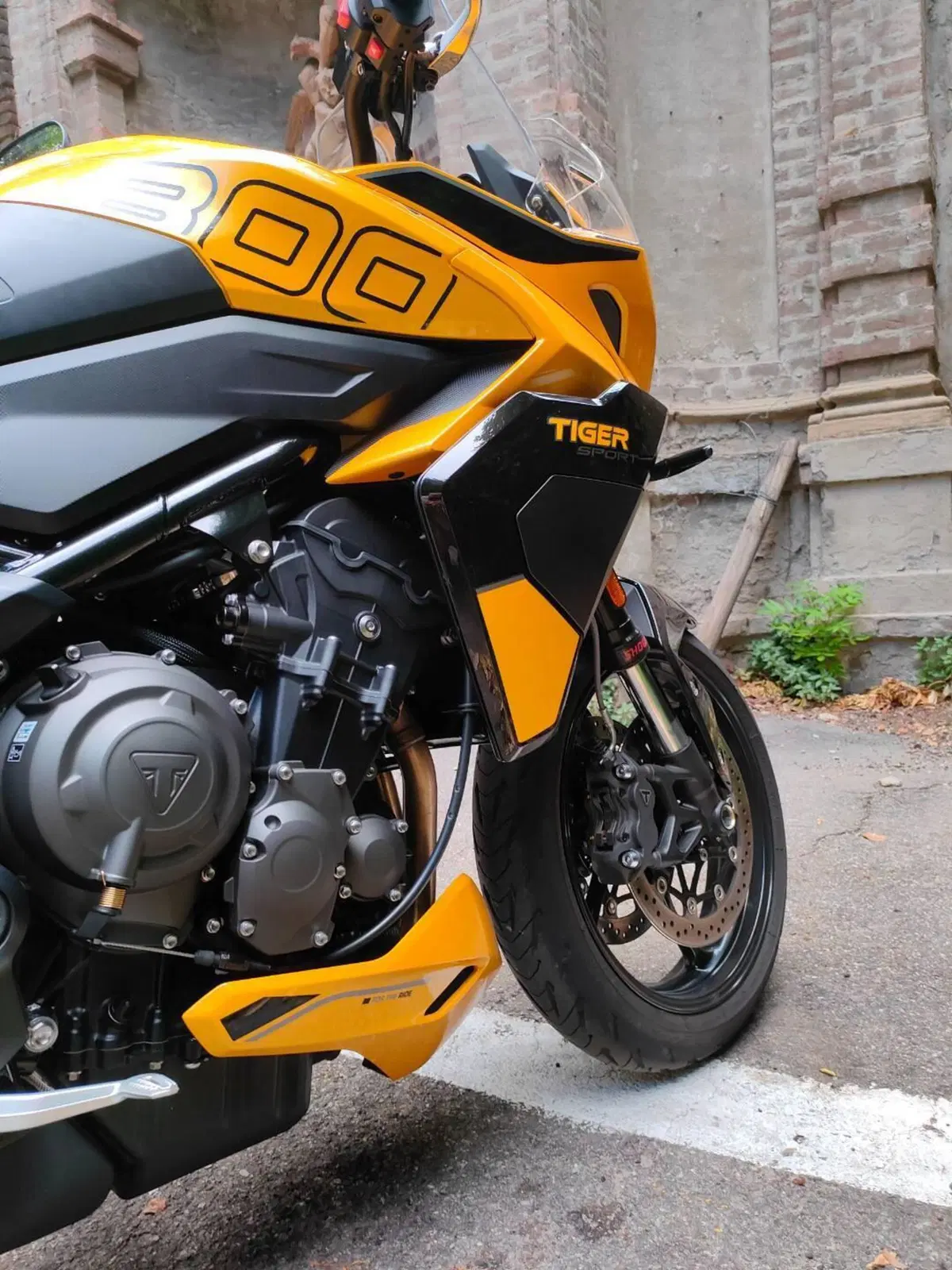 Triumph Tiger Sport 800 (2025 - 26) (3)