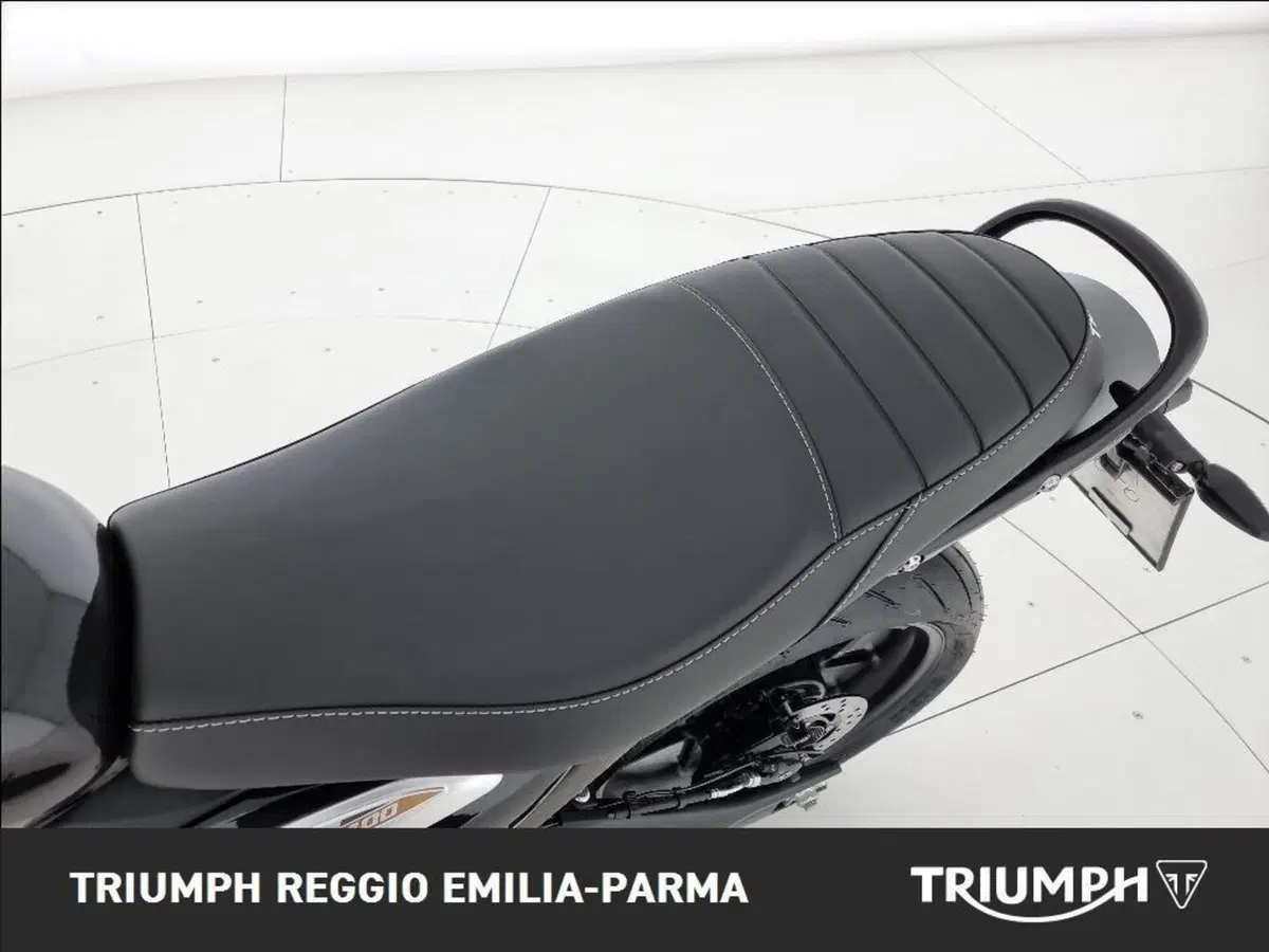 Triumph Speed 400 (2024 - 26) (13)