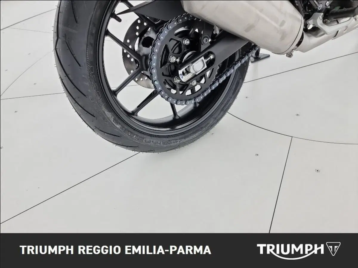 Triumph Scrambler 400 X (2024 - 26) (17)