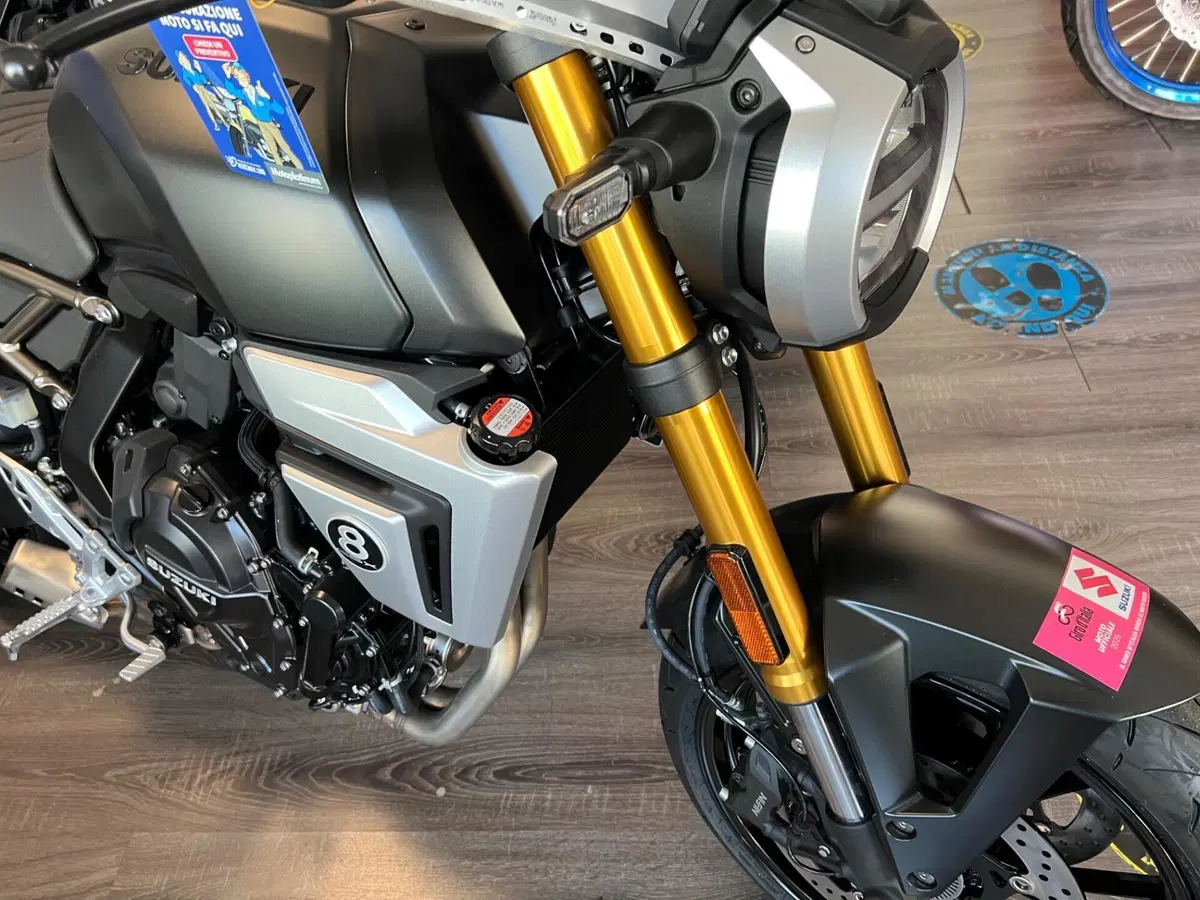 Suzuki GSX-8T (2025 - 26) (3)