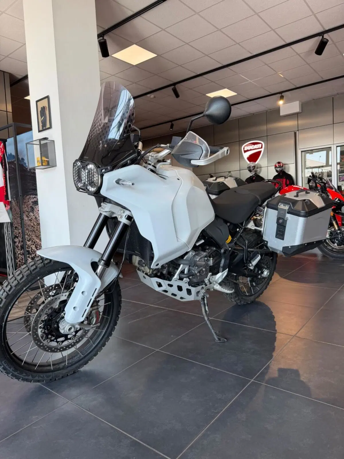 Ducati DesertX (2022 - 25) (4)