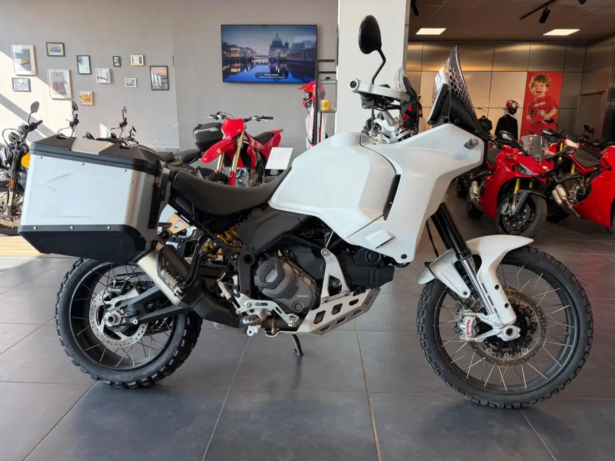 Ducati DesertX (2022 - 25)