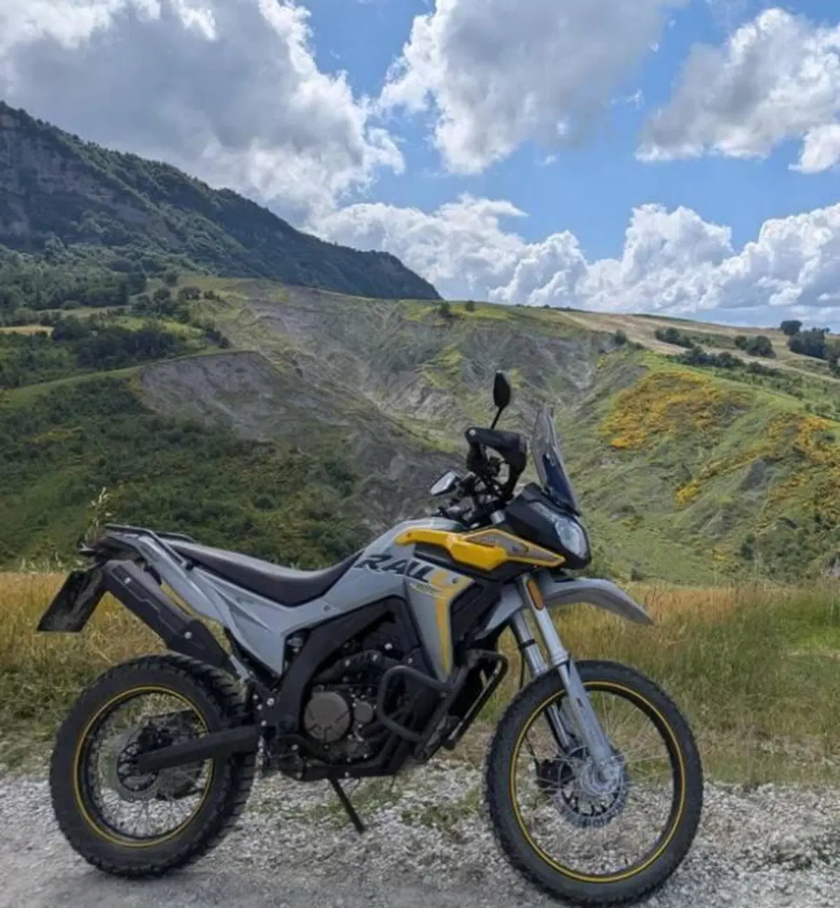 Voge 300 GY Rally (2022) (5)