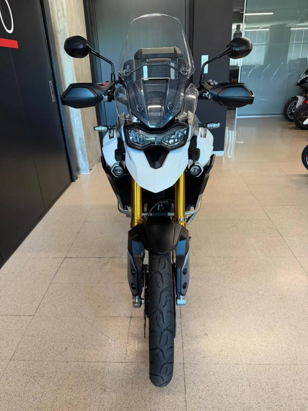 Triumph Tiger 900 Rally Pro (2020 - 23) (2)