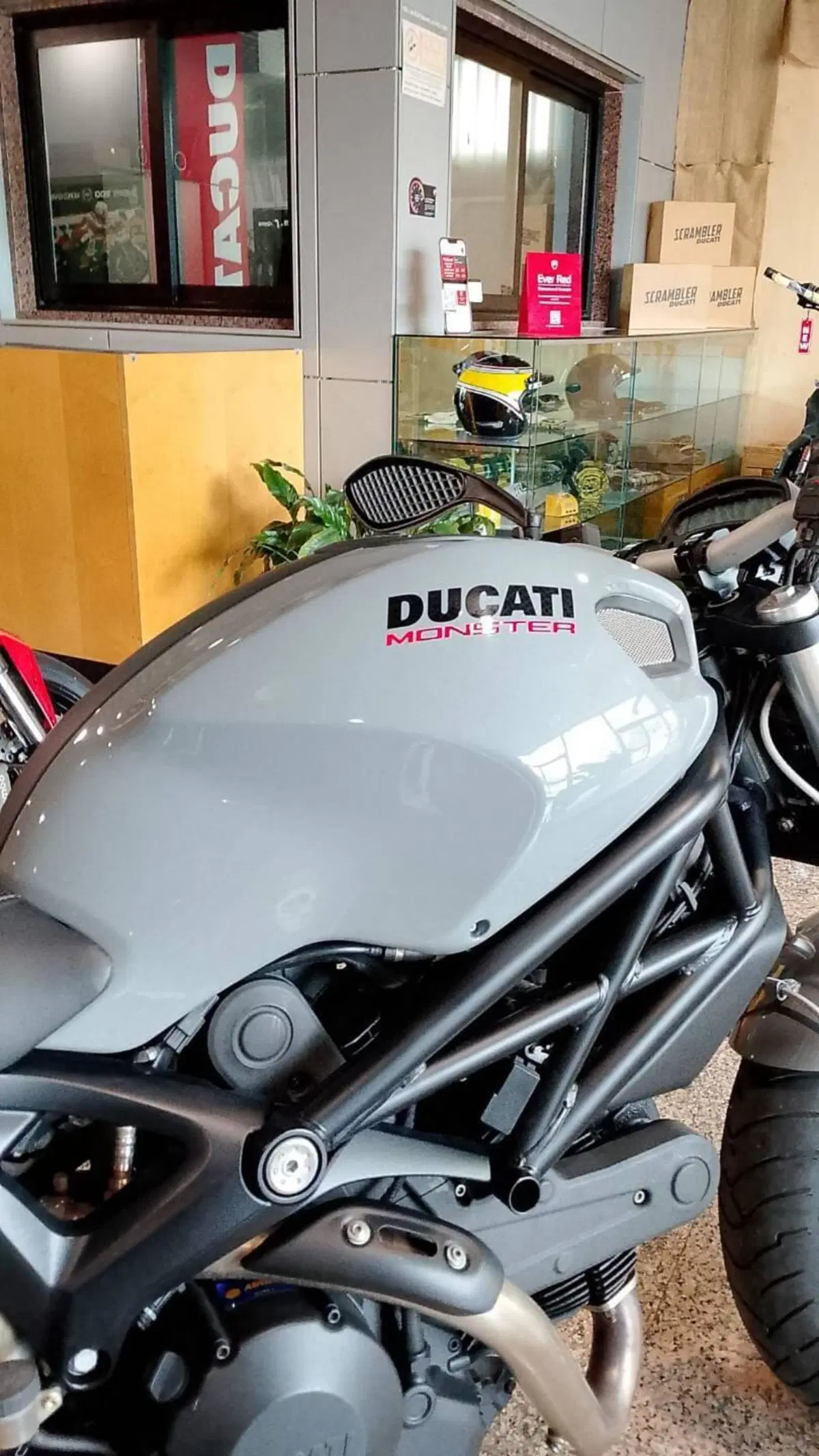 Ducati Monster 696 Plus (2007 - 14) (7)