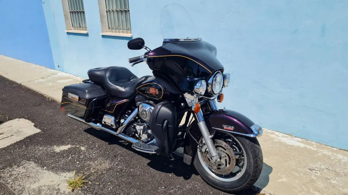 Harley-Davidson 1450 Electra Glide Standard (2001 - 03) - FLHT (5)