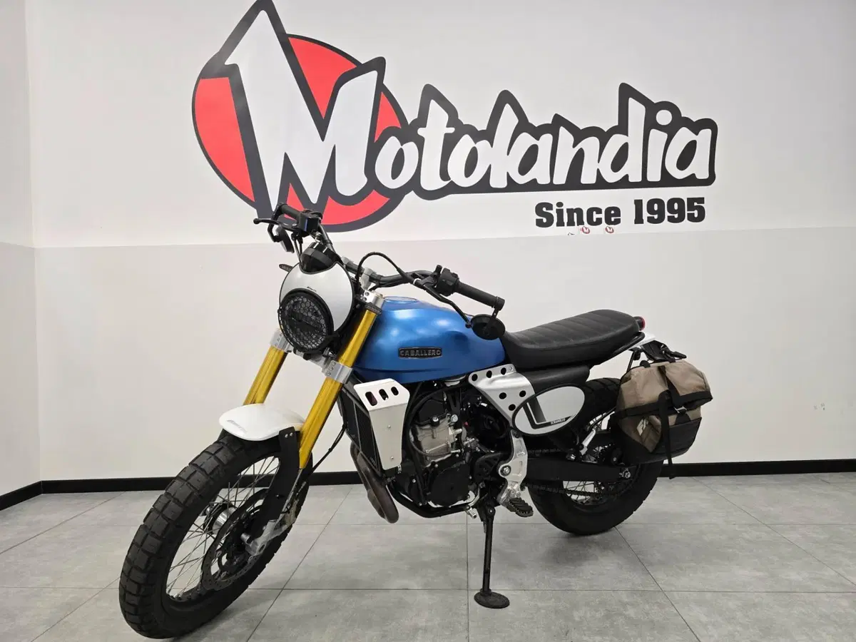 Fantic Motor Caballero 500 Scrambler (2024) (2)